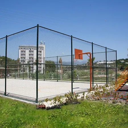 Artlife * 阿拉尼亚