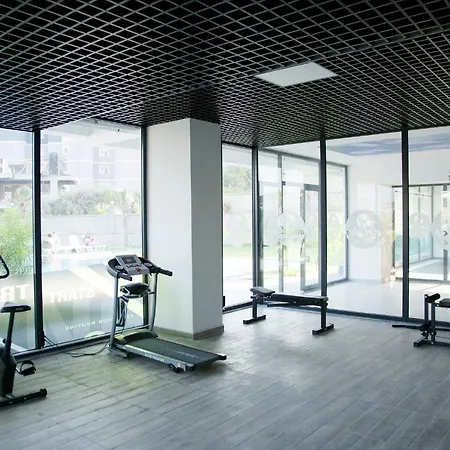 Artlife 阿拉尼亚